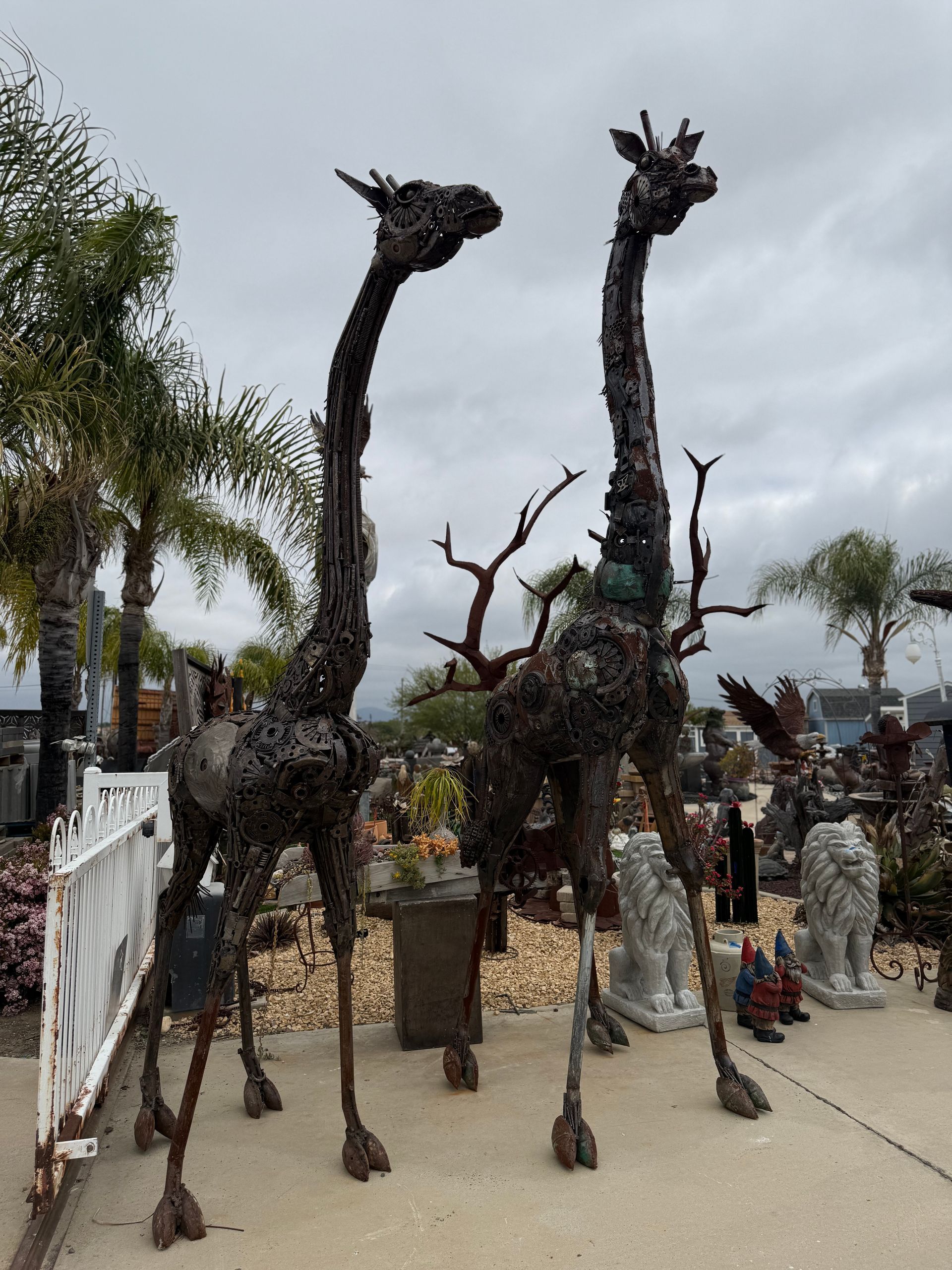 Steel Giraffes
